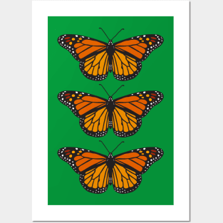 Monarch butterflies Posters and Art